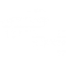 Video Surveillance